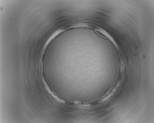 X0000074291053200609151912