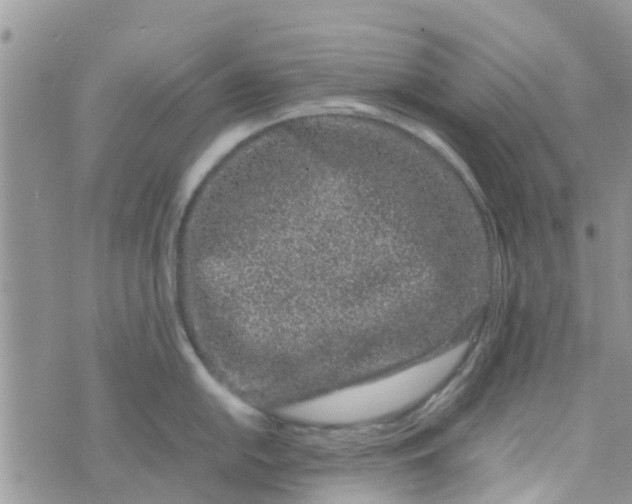 X0000074291054200609151912