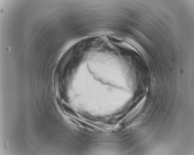 X0000074291055200609151912