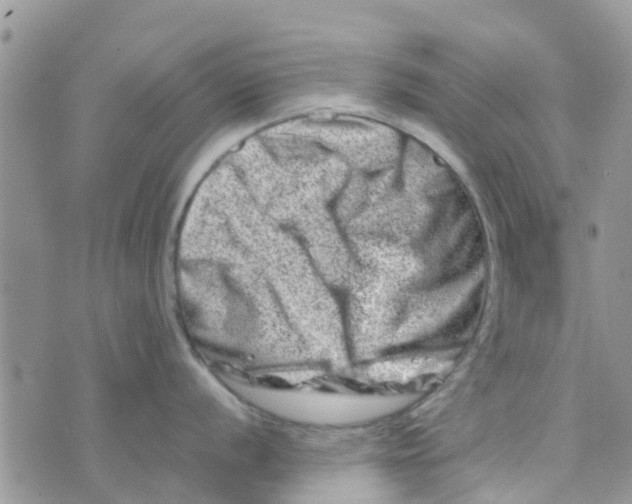 X0000074291056200609151912