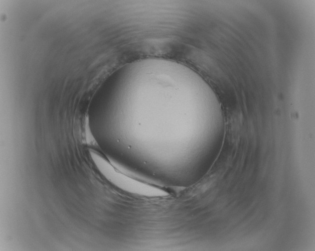 X0000074291058200609151911