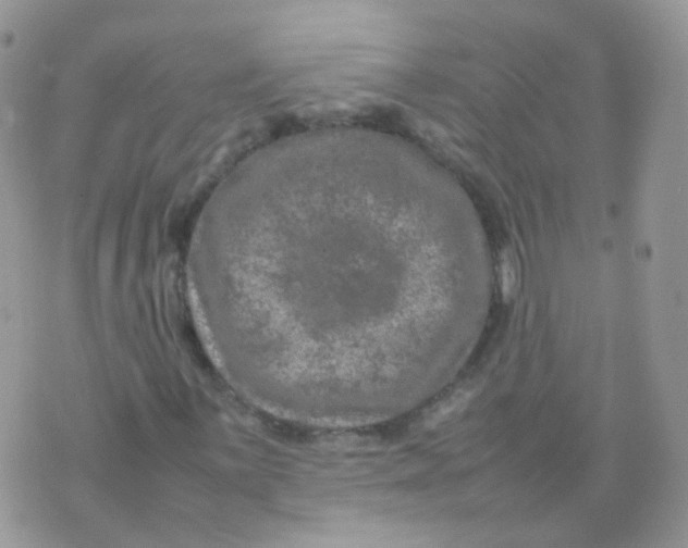 X0000074291059200609151911