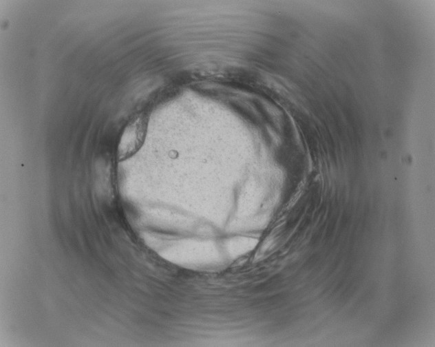 X0000074291060200609151911