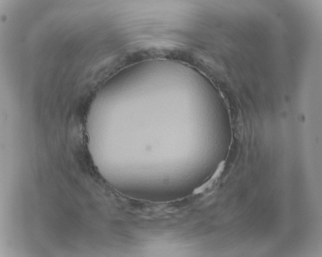 X0000074291061200609151911