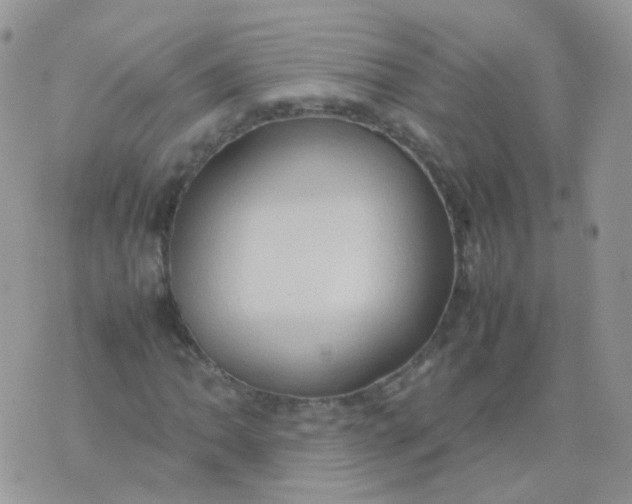 X0000074291062200609151911