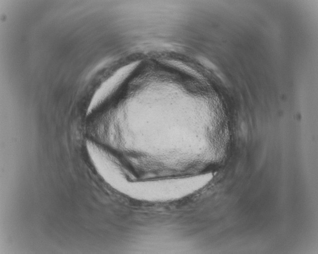 X0000074291063200609151911