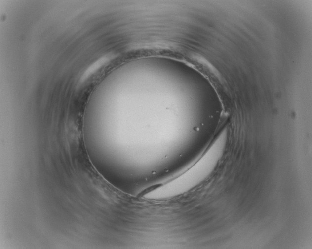 X0000074291064200609151911