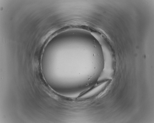 X0000074291065200609151911