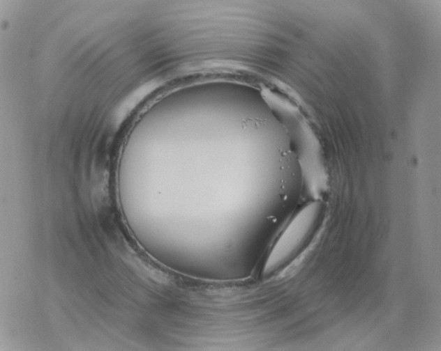 X0000074291066200609151911