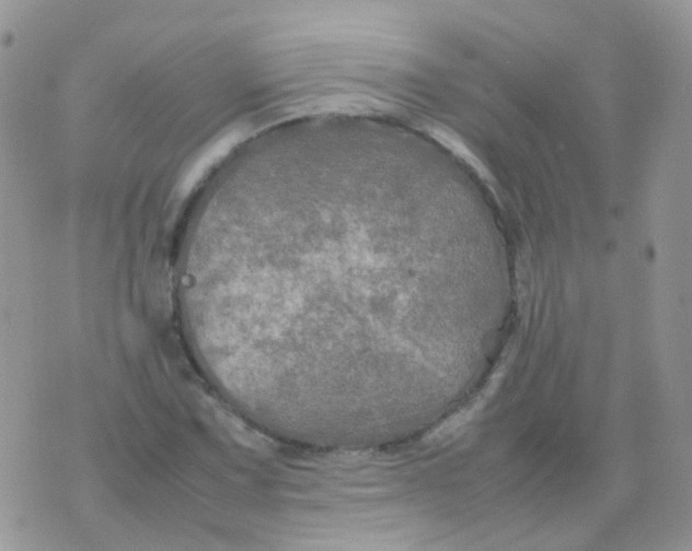 X0000074291067200609151911