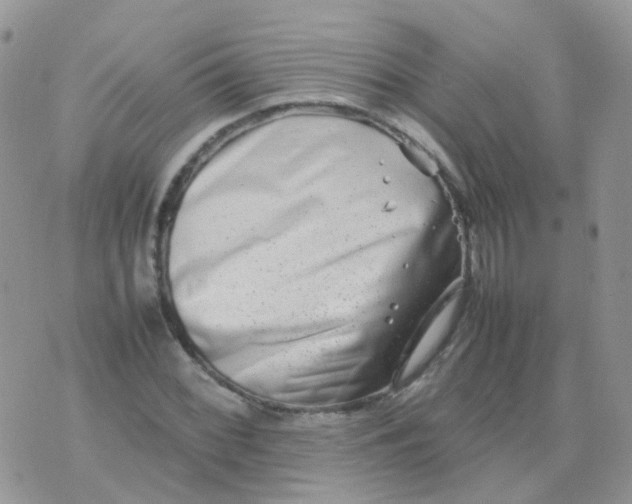 X0000074291068200609151911