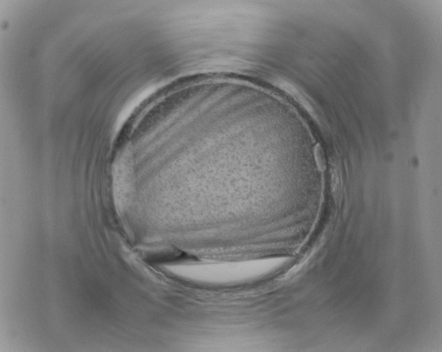 X0000074291069200609151911