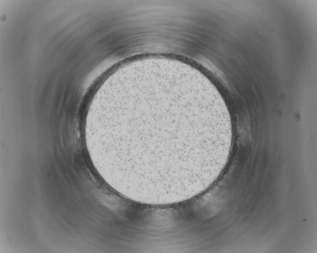 X0000074291070200609151911