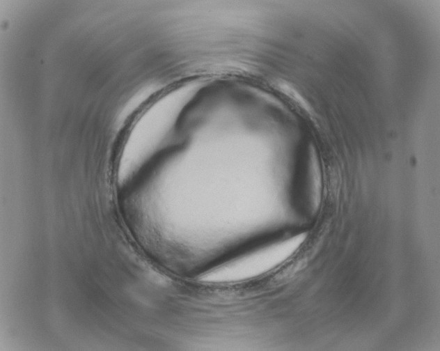 X0000074291071200609151911