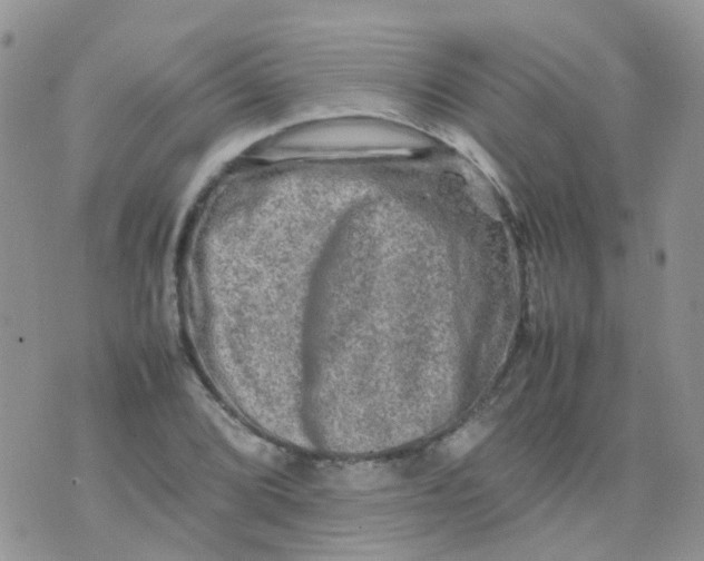 X0000074291072200609151911