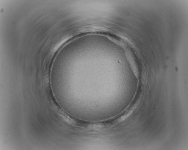 X0000074291073200609151911