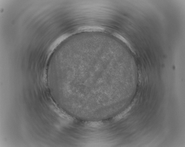 X0000074291074200609151911