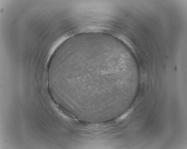 X0000074291075200609151911