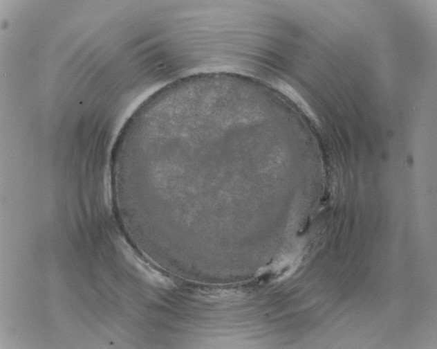 X0000074291076200609151911