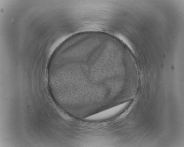 X0000074291077200609151911