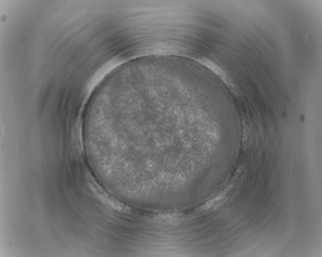 X0000074291078200609151911