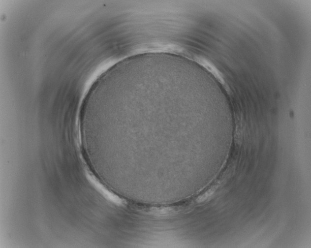 X0000074291080200609151911