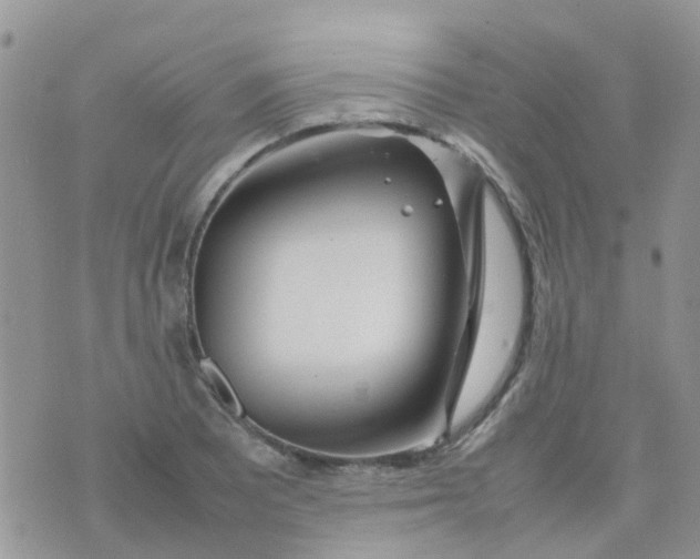 X0000074291081200609151911