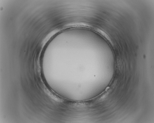 X0000074291082200609151911