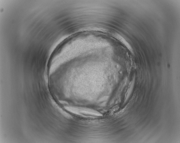 X0000074291084200609151911