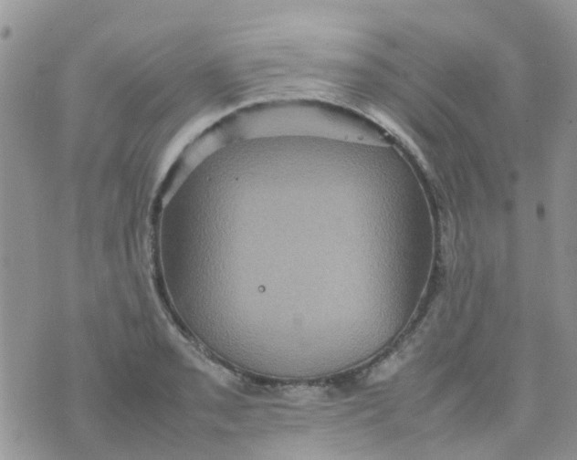 X0000074291085200609151911