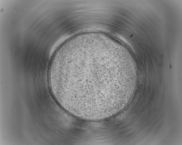 X0000074291086200609151911