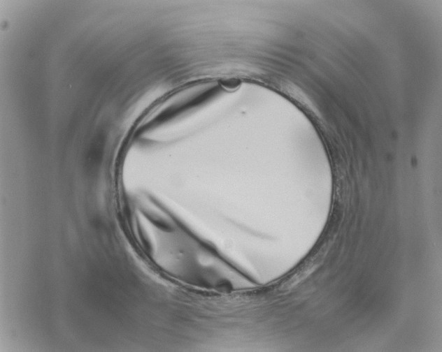 X0000074291087200609151911