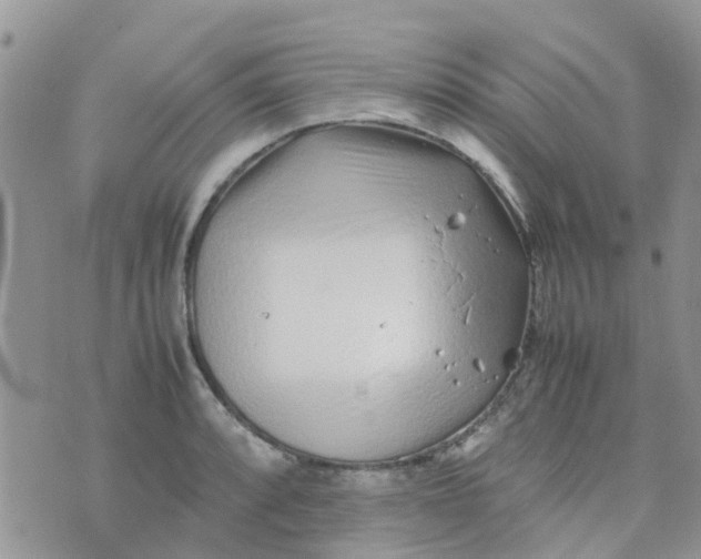 X0000074291088200609151911