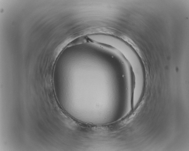 X0000074291089200609151911