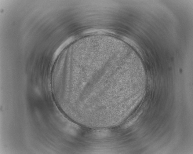 X0000074291090200609151911