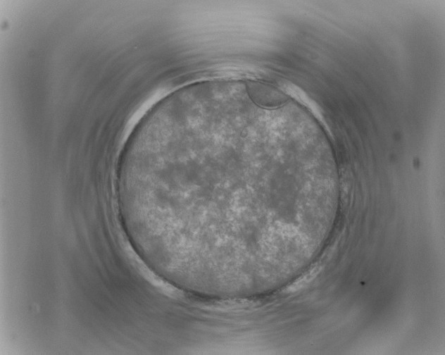 X0000074291091200609151911