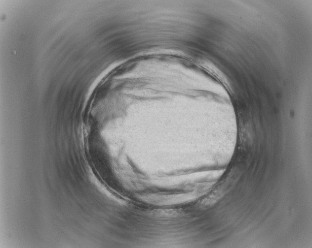 X0000074291092200609151911