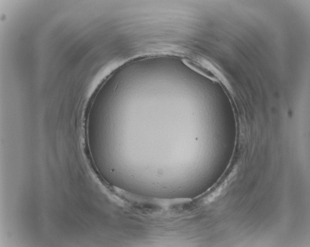 X0000074291093200609151911