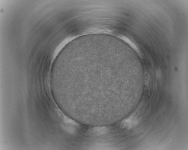 X0000074291094200609151911