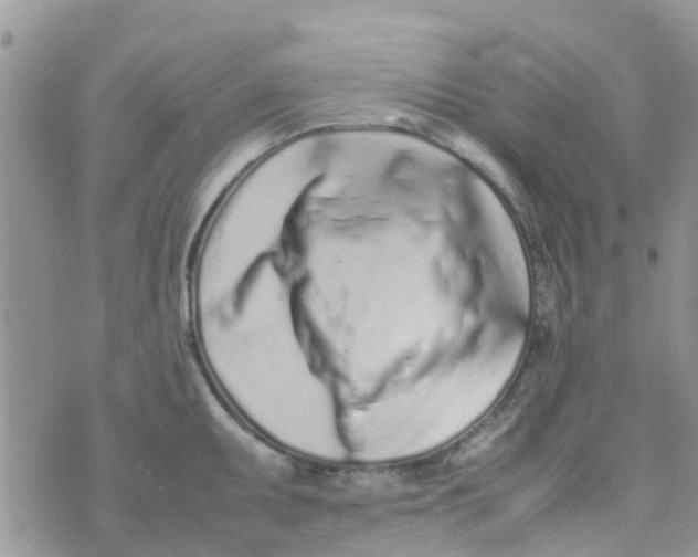 X0000074291095200609151910