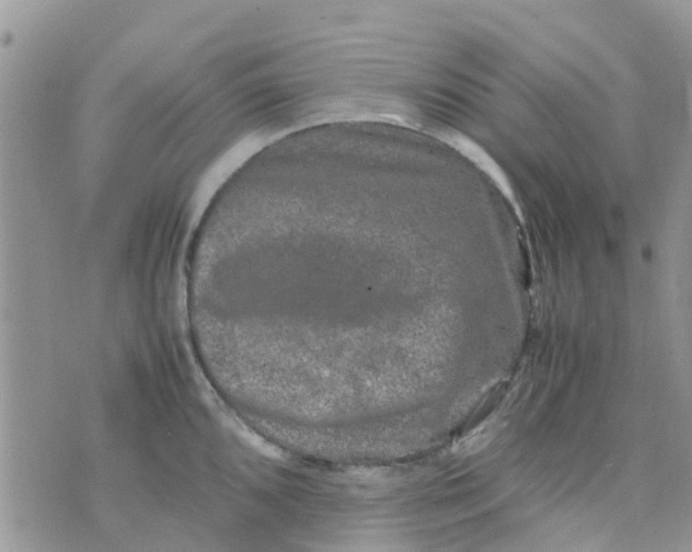 X0000074291096200609151910