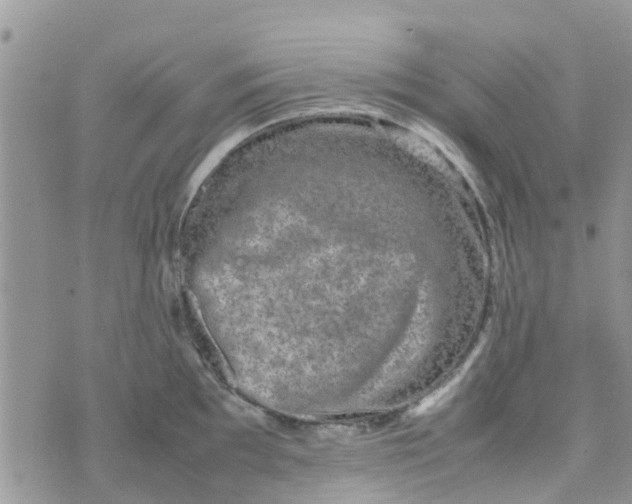 X0000074291097200609151910