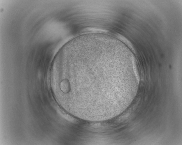 X0000074291098200609151910