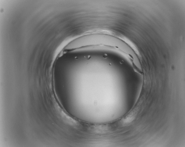 X0000074291102200609151910