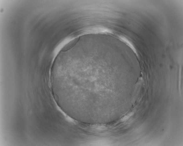 X0000074291103200609151910