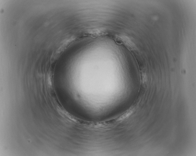 X0000074291106200609151910