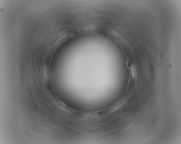 X0000074291107200609151910