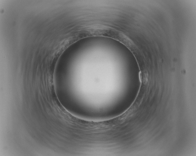 X0000074291108200609151910