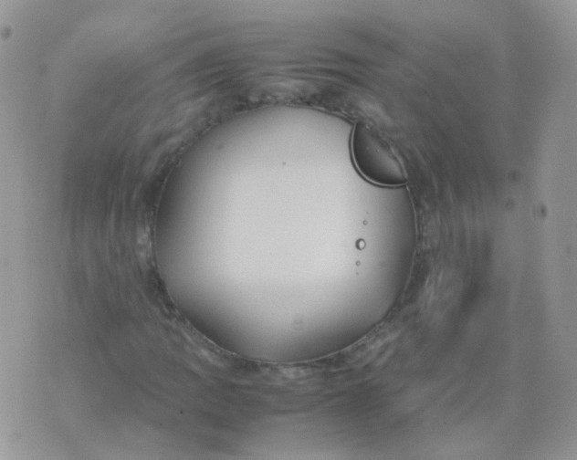 X0000074291109200609151910