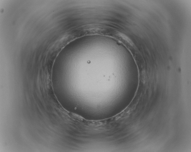 X0000074291111200609151910